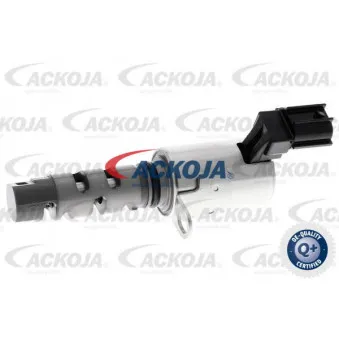 Valve de commande, réglage d'arbres à came ACKOJA A70-0356