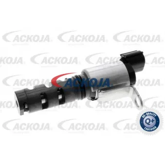 Valve de commande, réglage d'arbres à came ACKOJA A70-0606