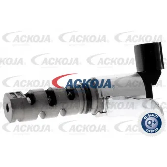 Valve de commande, réglage d'arbres à came ACKOJA A70-0608