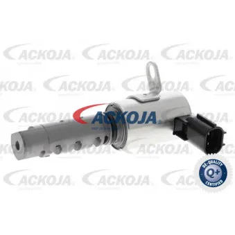 Valve de commande, réglage d'arbres à came ACKOJA A70-0614