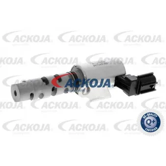 Valve de commande, réglage d'arbres à came ACKOJA A70-0659
