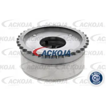 Dispositif de réglage électrique d'arbre à cames ACKOJA A70-0750