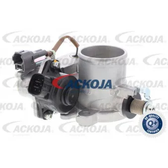 Corps papillon ACKOJA A70-81-0003