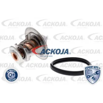 Thermostat d'eau ACKOJA A70-99-0031