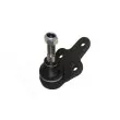 Rotule de suspension AUTOMEGA 110018810 - Visuel 3