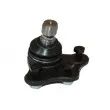 Rotule de suspension AUTOMEGA 110160710 - Visuel 2