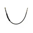 Flexible de frein AUTOMEGA 120026710 - Visuel 3