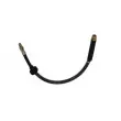 Flexible de frein AUTOMEGA 120065810 - Visuel 3