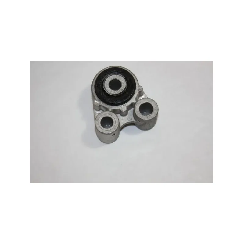 Suspension, boîte automatique AUTOMEGA 130015510