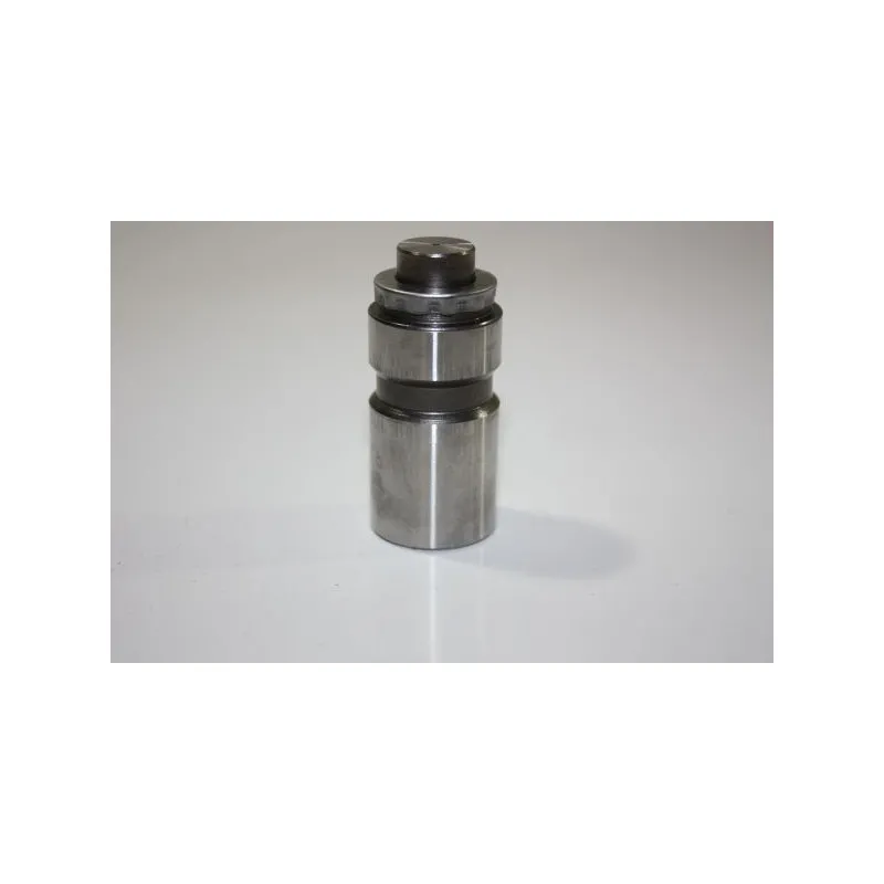 Poussoir de soupape AUTOMEGA 130019410
