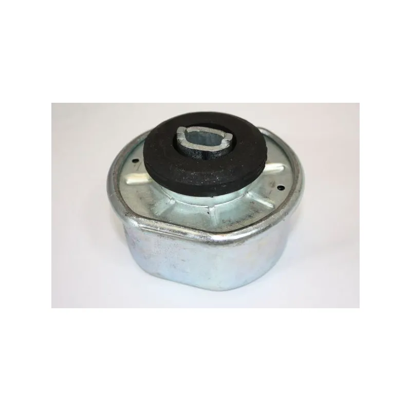 Suspension, boîte automatique AUTOMEGA 130027710