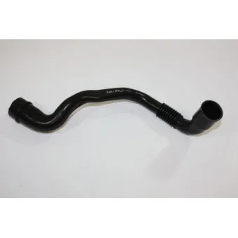Tuyau, ventilation de carter-moteur AUTOMEGA 130035010