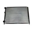 Radiateur, refroidissement du moteur AUTOMEGA 130051110 - Visuel 2