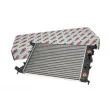 Radiateur, refroidissement du moteur AUTOMEGA 130118910 - Visuel 1