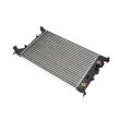 Radiateur, refroidissement du moteur AUTOMEGA 130118910 - Visuel 2