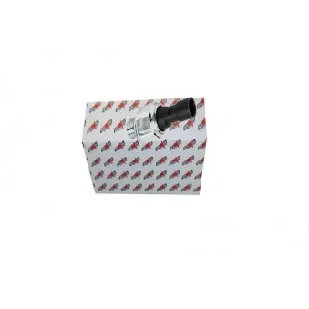 Indicateur de pression d'huile AUTOMEGA 150100410