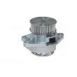 Pompe à eau AUTOMEGA 160009010 - Visuel 2