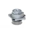 Pompe à eau AUTOMEGA 160009010 - Visuel 3
