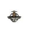 Thermostat d'eau AUTOMEGA 160021210 - Visuel 2