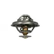 Thermostat d'eau AUTOMEGA 160021210 - Visuel 3