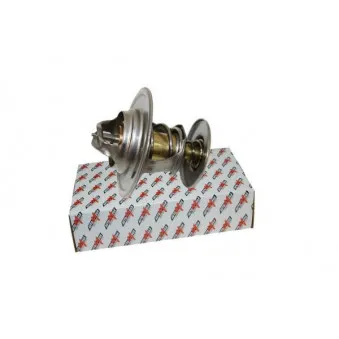 Thermostat d'eau AUTOMEGA 160032610