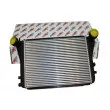 Intercooler, échangeur AUTOMEGA 160060310 - Visuel 1