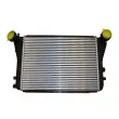 Intercooler, échangeur AUTOMEGA 160060310 - Visuel 2