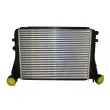 Intercooler, échangeur AUTOMEGA 160060310 - Visuel 3