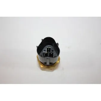Interrupteur de température, ventilateur de radiateur AUTOMEGA 160070910
