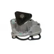 Pompe à eau AUTOMEGA 160083310 - Visuel 2