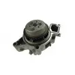 Pompe à eau AUTOMEGA 160096610 - Visuel 2
