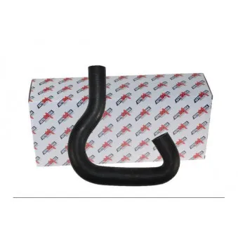 Durite de radiateur AUTOMEGA 160098810