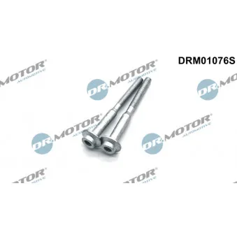 Vis, support pour controleur d'injecteurs Dr.Motor DRM01076S