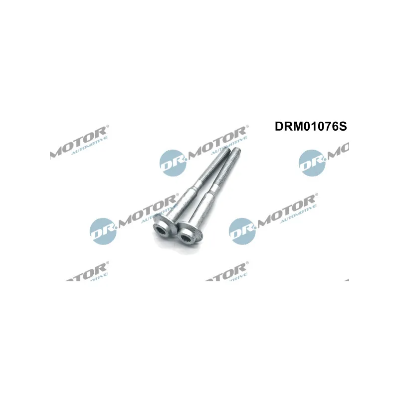 Vis, support pour controleur d'injecteurs Dr.Motor DRM01076S