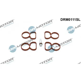Jeu de joints d'étanchéité, collecteur d'admission Dr.Motor DRM0111SL