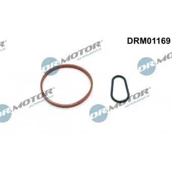 Jeu de joints, pompe à vide Dr.Motor DRM01169