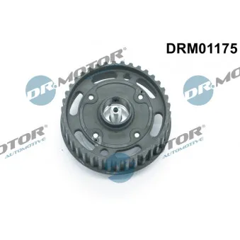 Dispositif de réglage électrique d'arbre à cames Dr.Motor DRM01175