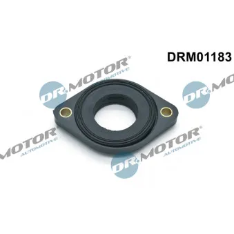 Joint, réglage d'arbre à cames Dr.Motor