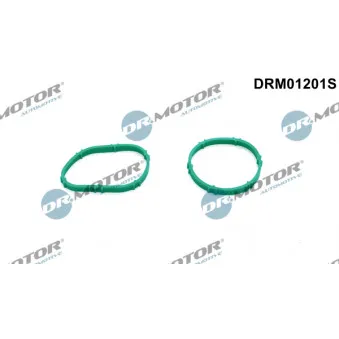 Jeu de joints d'étanchéité, collecteur d'admission Dr.Motor DRM01201S