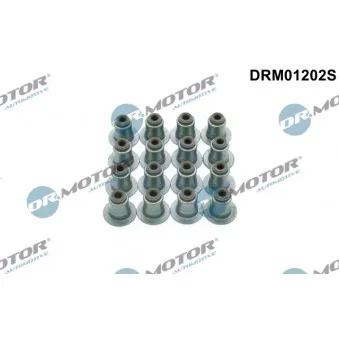 Jeu de joints d'étanchéité, tige de soupape Dr.Motor DRM01202S