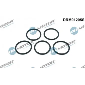 Jeu de joints d'étanchéité, pompe à eau Dr.Motor DRM01205S