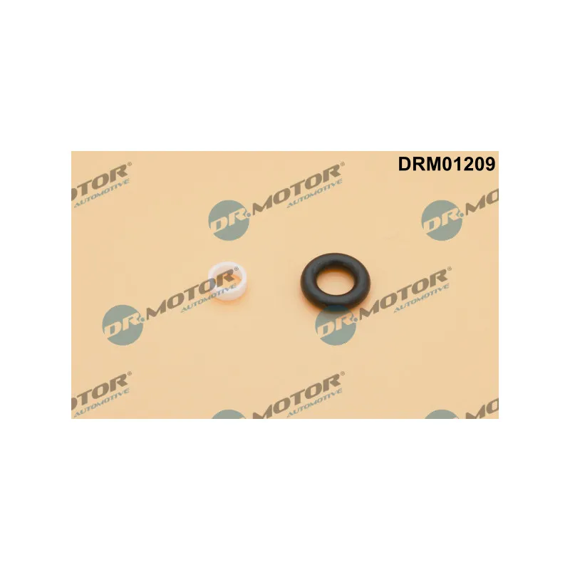 Kit de réparation, injecteur Dr.Motor DRM01209