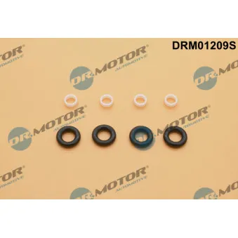 Kit de réparation, injecteur Dr.Motor DRM01209S