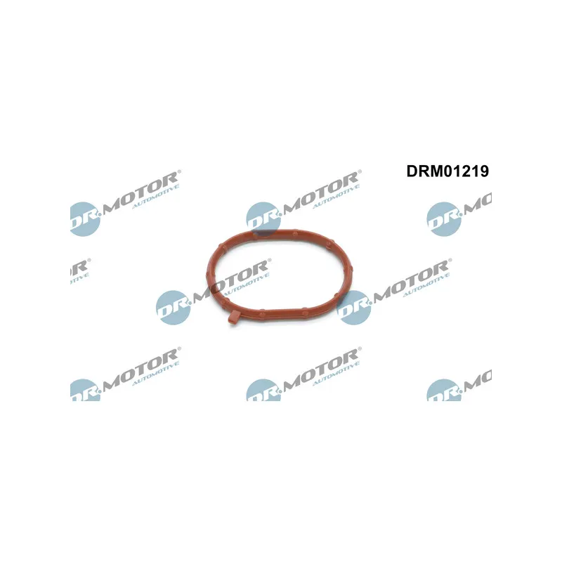 Joint, compresseur Dr.Motor DRM01219