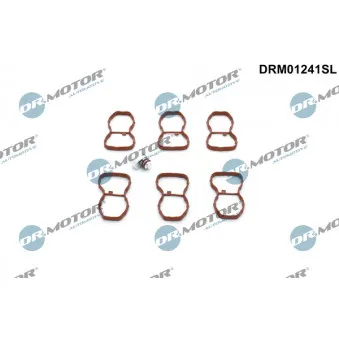 Kit de réparation, module de tube d'aspiration Dr.Motor DRM01241SL