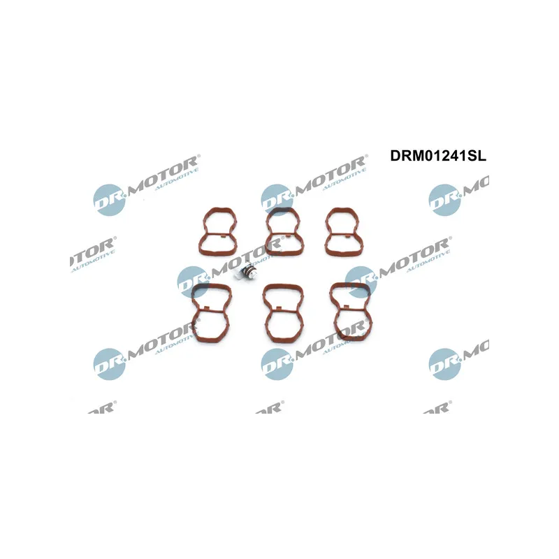 Kit de réparation, module de tube d'aspiration Dr.Motor DRM01241SL