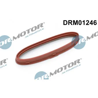 Joint, compresseur Dr.Motor DRM01246