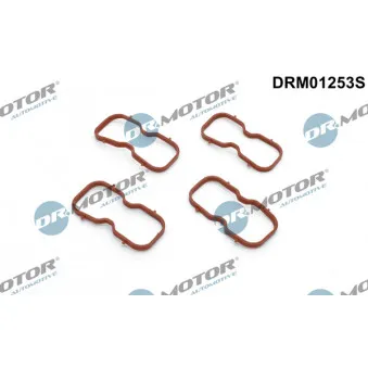 Jeu de joints d'étanchéité, collecteur d'admission Dr.Motor DRM01253S