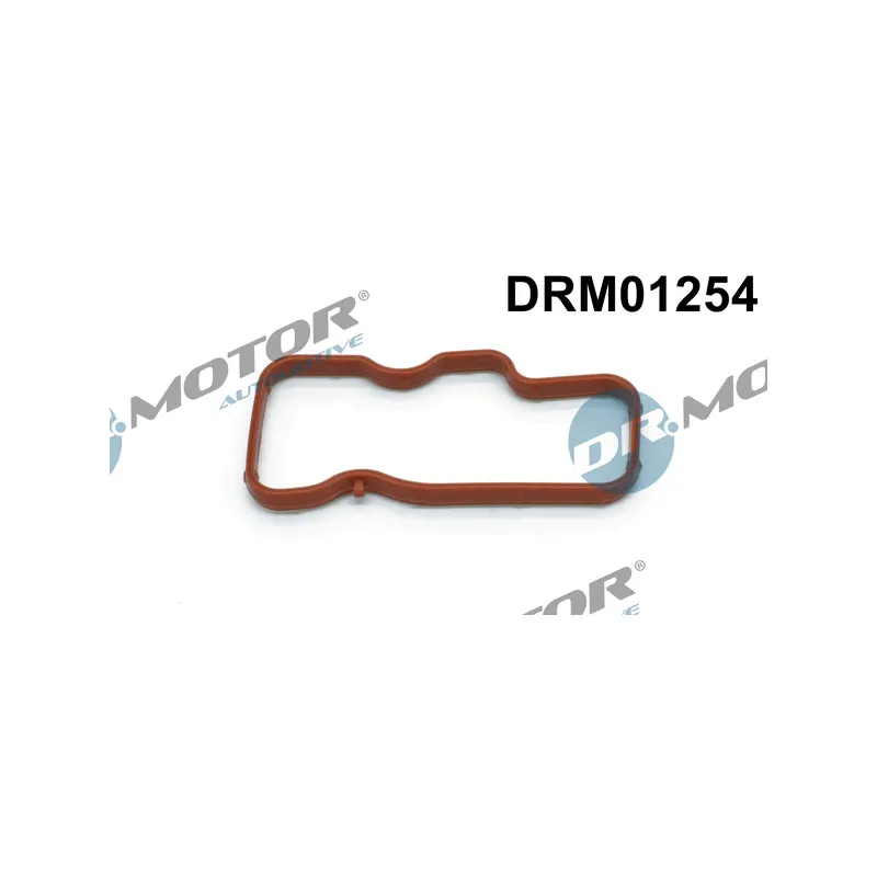 Joint d'étanchéité, collecteur d'admission Dr.Motor DRM01254