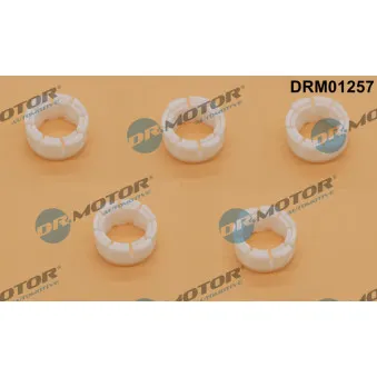 Douille, levier de vitesse Dr.Motor DRM01257